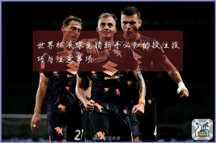 世界杯滚球竞猜新手必知的投注技巧与注意事项