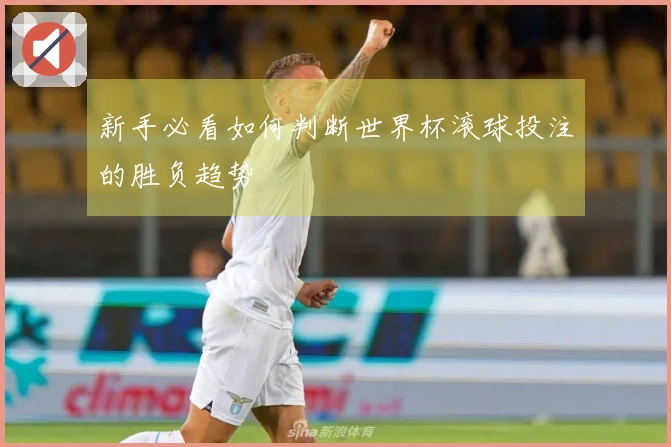 新手必看如何判断世界杯滚球投注的胜负趋势
