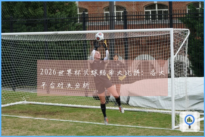2026世界杯买球赔率大比拼：各大平台对决分析